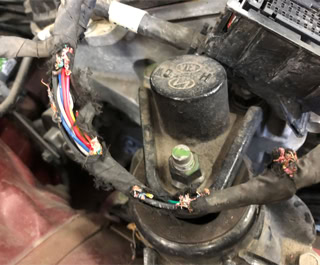 Adeiyie fixing electrical issues